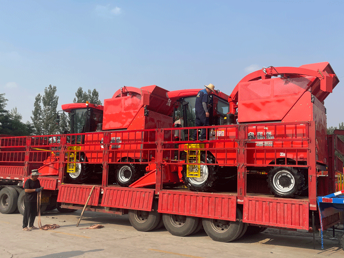 Senrui Silage Machine Delivers Efficiently To Help With A Good Harvest!