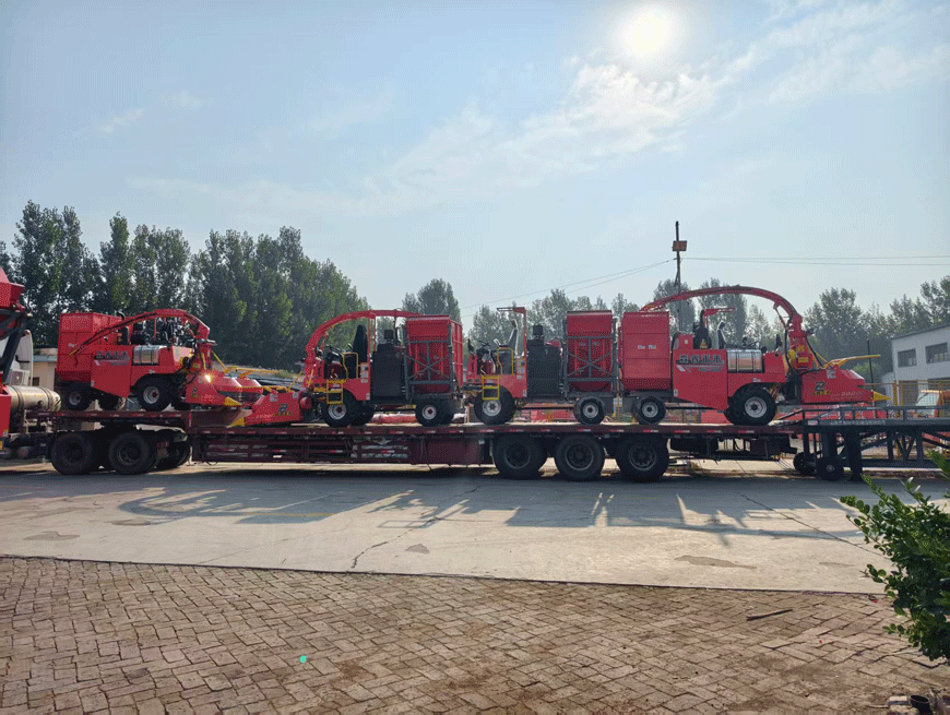 Ready For Delivery: Senrui 4QZ-2000C Silage Harvester Ships Fully Assembled—Boosting Efficiency For Livestock Farms! Ready For Delivery: Senrui 4QZ-2000C Silage Harvester Ships Fully Assembled—Boosting Efficiency For Livestock Farms!