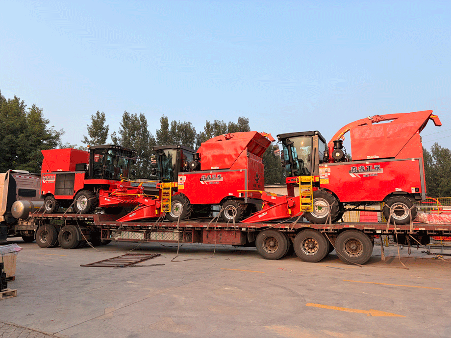 Proven Performance! Senrui Silage Harvesters Loaded For Batch Shipment, Boosting Efficient Agricultural And Livestock Production