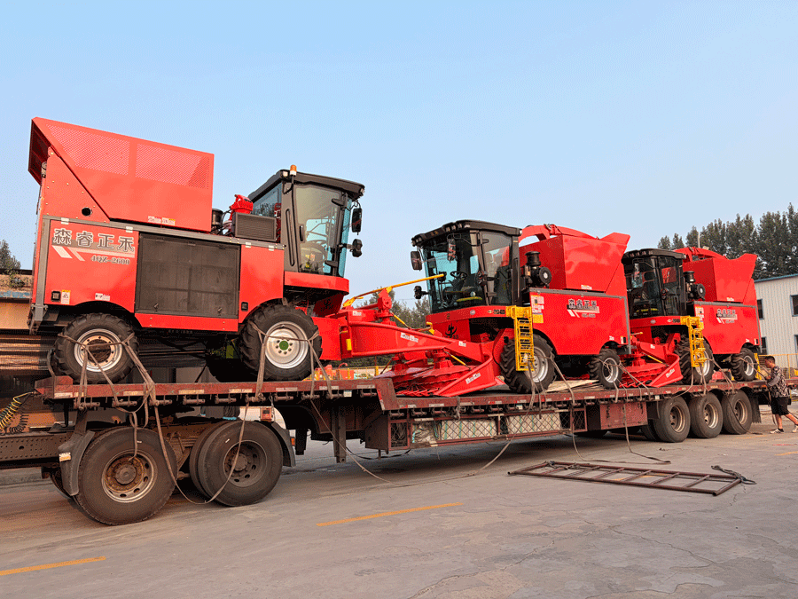 Proven Performance! Senrui Silage Harvesters Loaded For Batch Shipment, Boosting Efficient Agricultural And Livestock Production