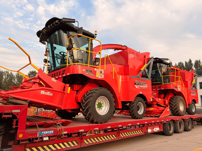 Crafted With Excellence, Ready To Conquer The Fields! Senrui 4Qz-3000B Large-Scale Silage Harvester Loaded And Shipped. Crafted With Excellence, Ready To Conquer The Fields! Senrui 4Qz-3000B Large-Scale Silage Harvester Loaded And Shipped.