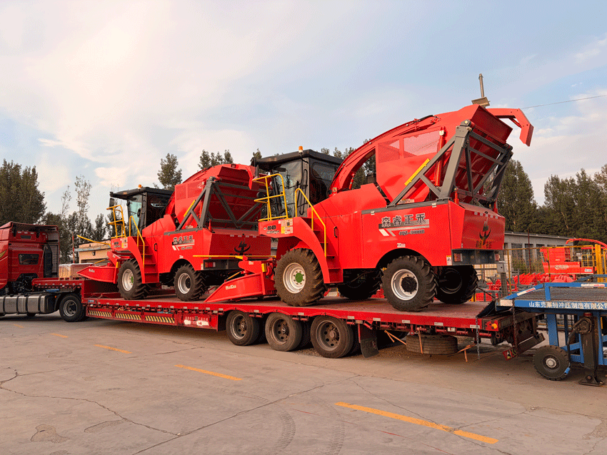Crafted With Excellence, Ready To Conquer The Fields! Senrui 4Qz-3000B Large-Scale Silage Harvester Loaded And Shipped. Crafted With Excellence, Ready To Conquer The Fields! Senrui 4Qz-3000B Large-Scale Silage Harvester Loaded And Shipped.